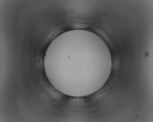X0000092110426200710101147