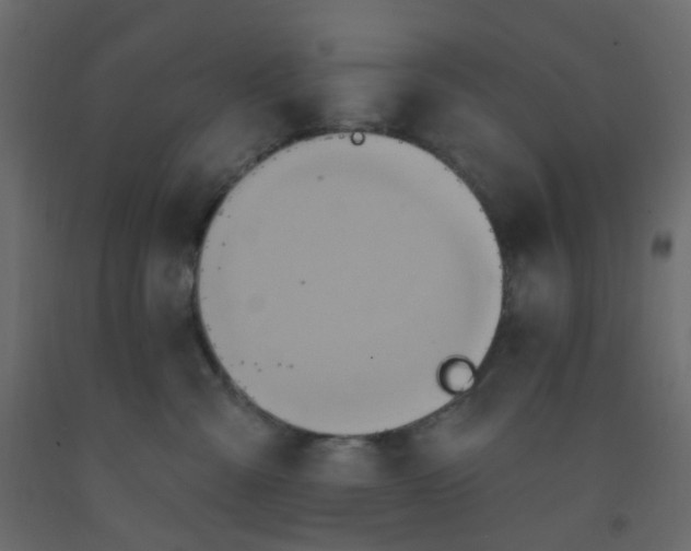 X0000092110427200710101147