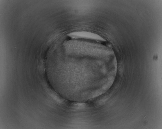 X0000092110428200710101147