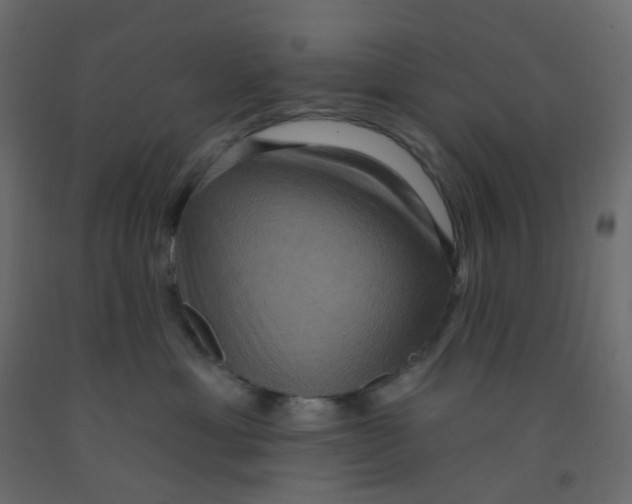 X0000092110429200710101147