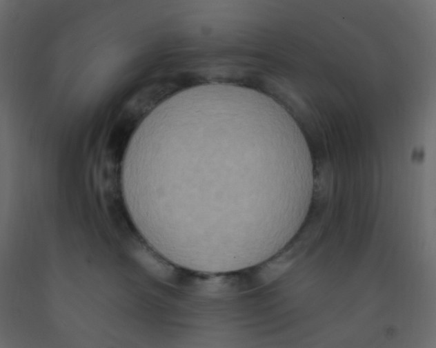 X0000092110430200710101147
