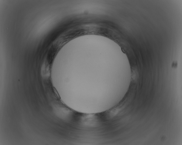 X0000092110431200710101147