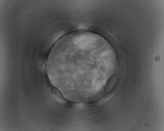 X0000092110432200710101147