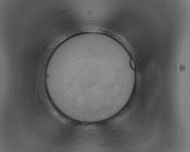 X0000092110433200710101146