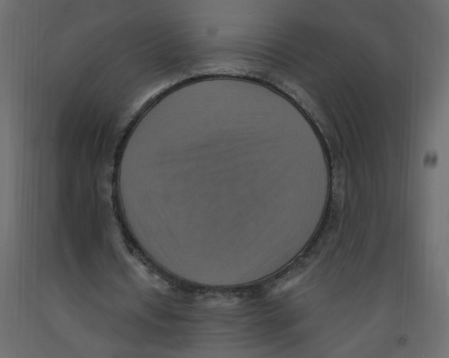 X0000092110434200710101146