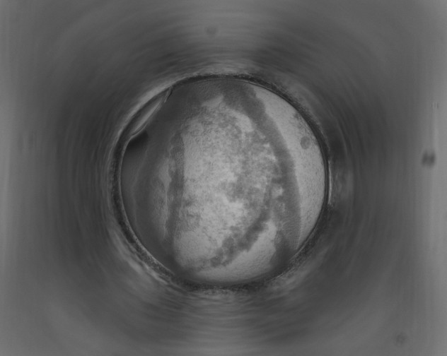 X0000092110435200710101146