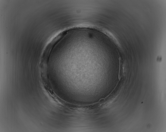 X0000092110436200710101146