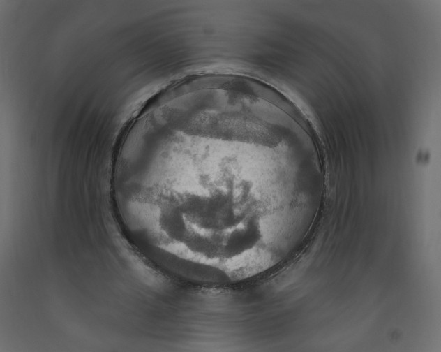 X0000092110437200710101146