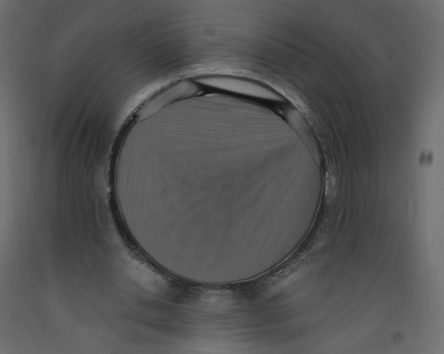 X0000092110438200710101146