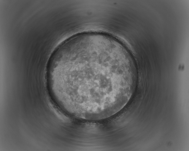 X0000092110439200710101146