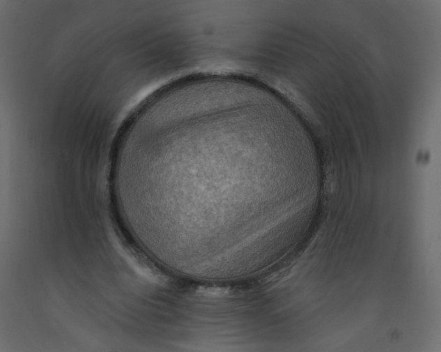 X0000092110440200710101146