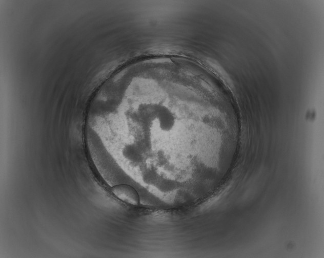 X0000092110441200710101146
