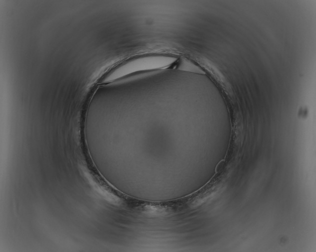 X0000092110442200710101146