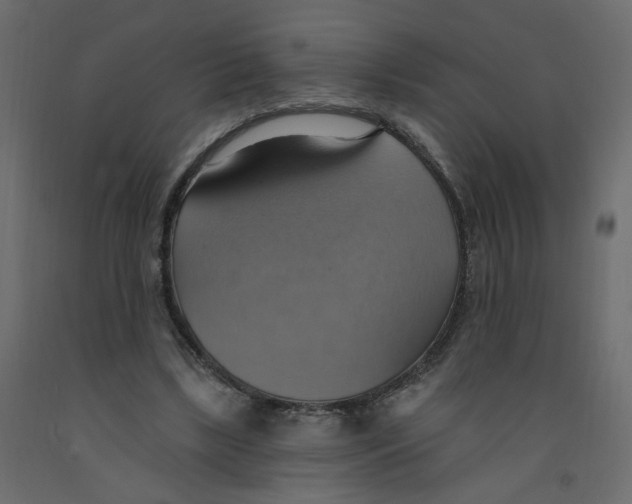 X0000092110443200710101146