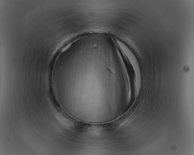X0000092110444200710101146