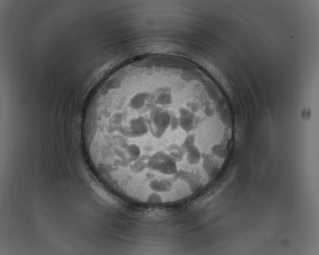X0000092110445200710101146