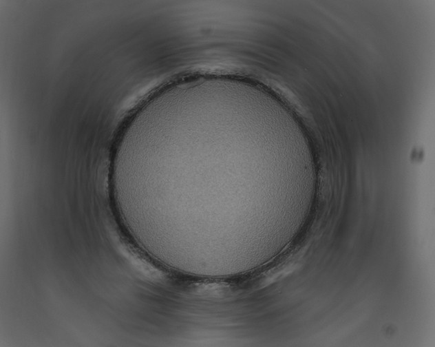 X0000092110446200710101146