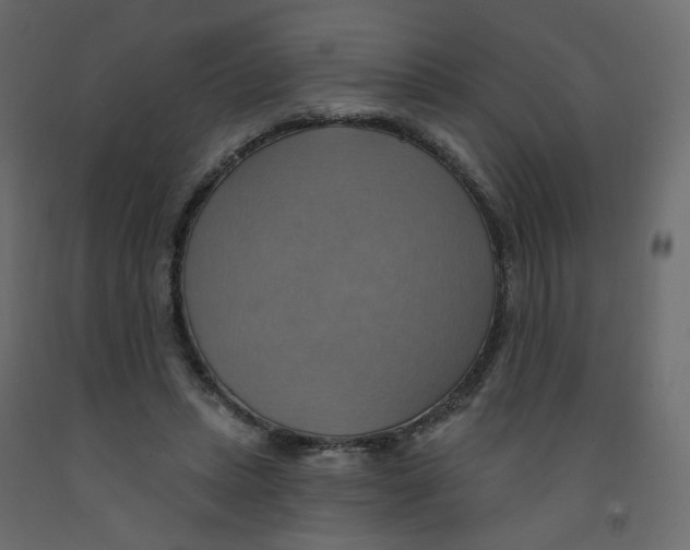 X0000092110447200710101146