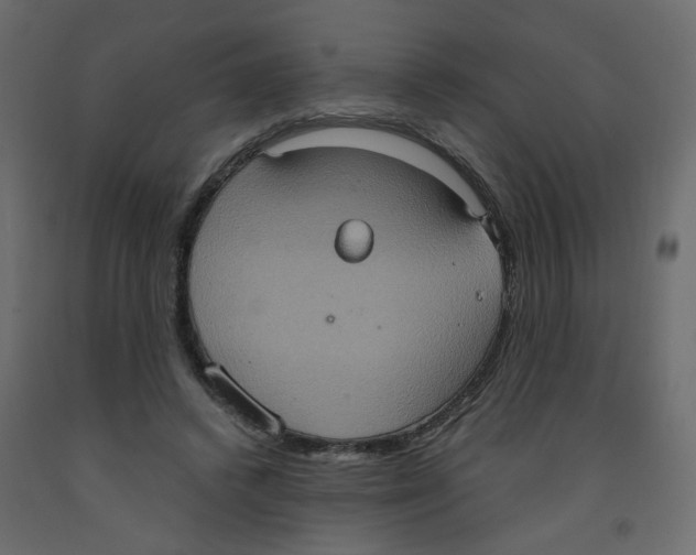 X0000092110448200710101147
