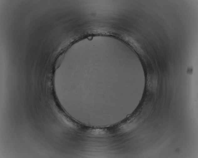 X0000092110449200710101147