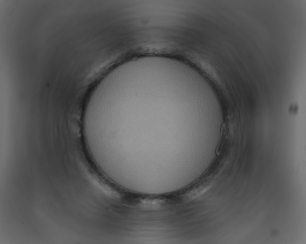 X0000092110450200710101147