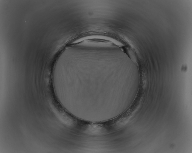 X0000092110451200710101147