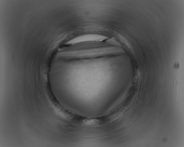 X0000092110452200710101147