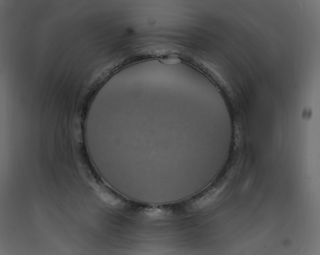 X0000092110453200710101147