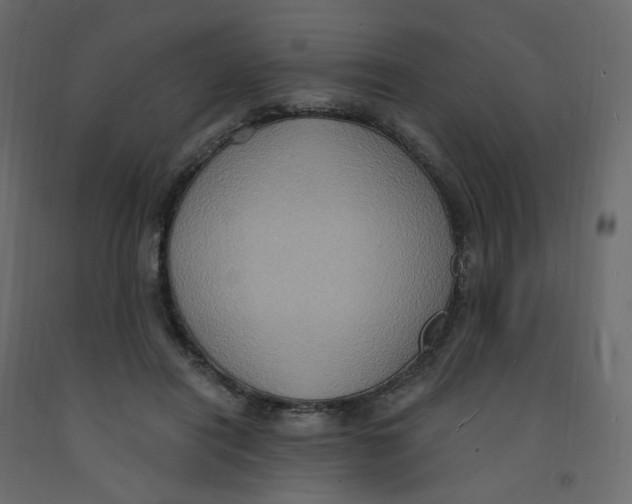 X0000092110454200710101147