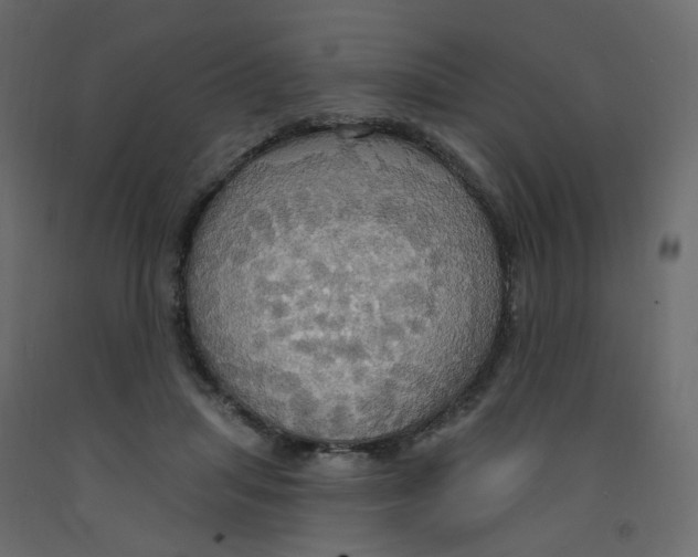X0000092110455200710101147