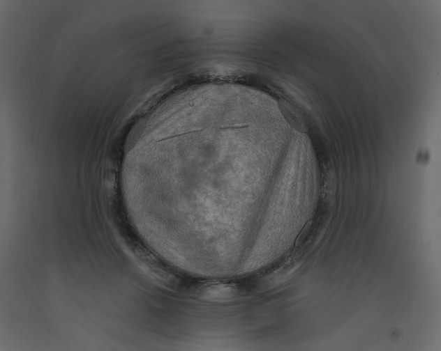 X0000092110456200710101147