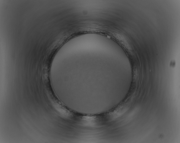 X0000092110457200710101147