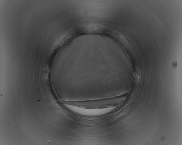X0000092110458200710101147