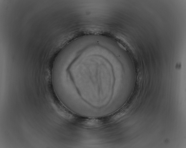 X0000092110459200710101147