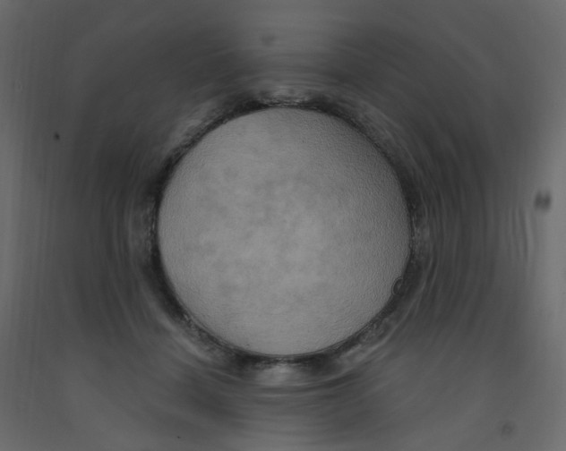 X0000092110460200710101147