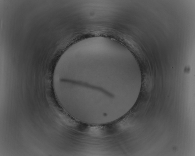 X0000092110461200710101147