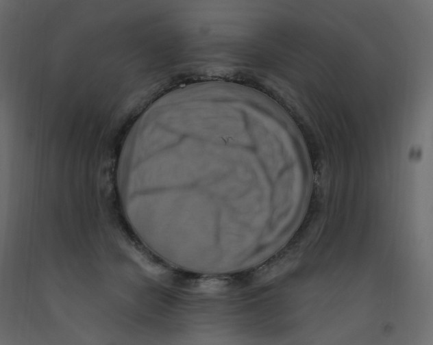 X0000092110462200710101147