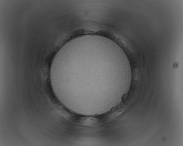 X0000092110463200710101147