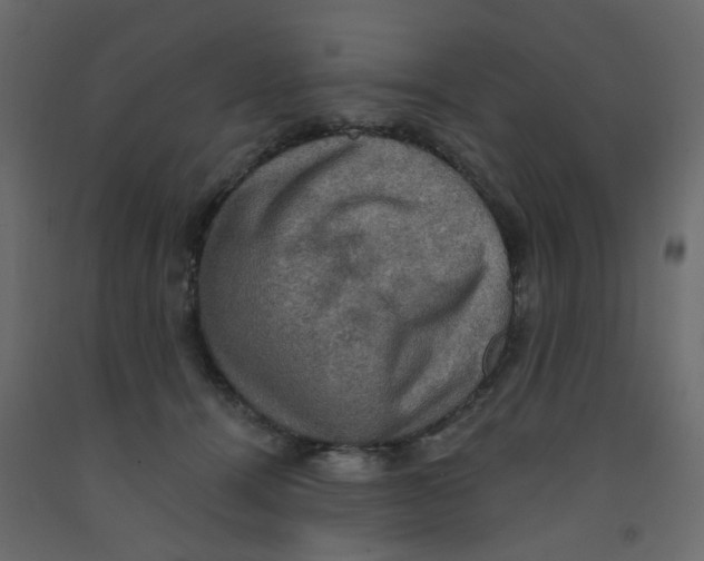 X0000092110464200710101147