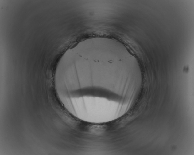 X0000092110465200710101147