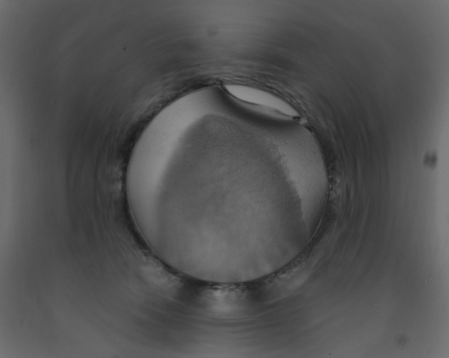 X0000092110466200710101147