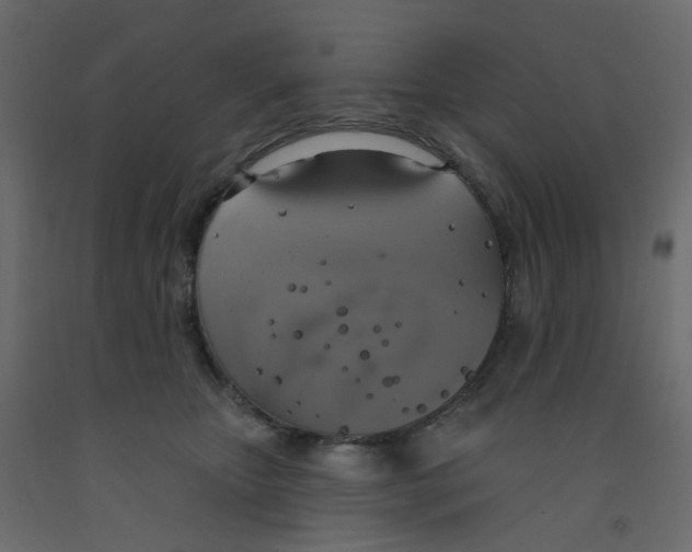 X0000092110467200710101147