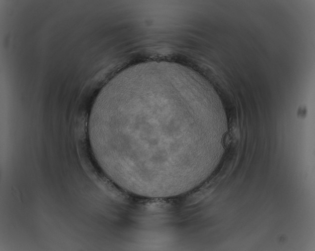 X0000092110468200710101147