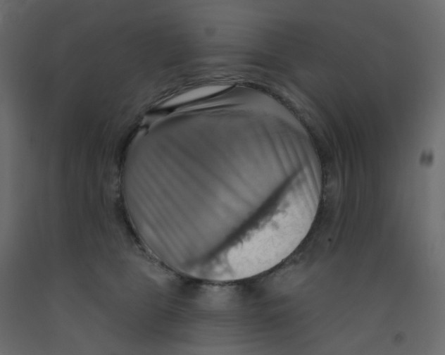 X0000092110469200710101147