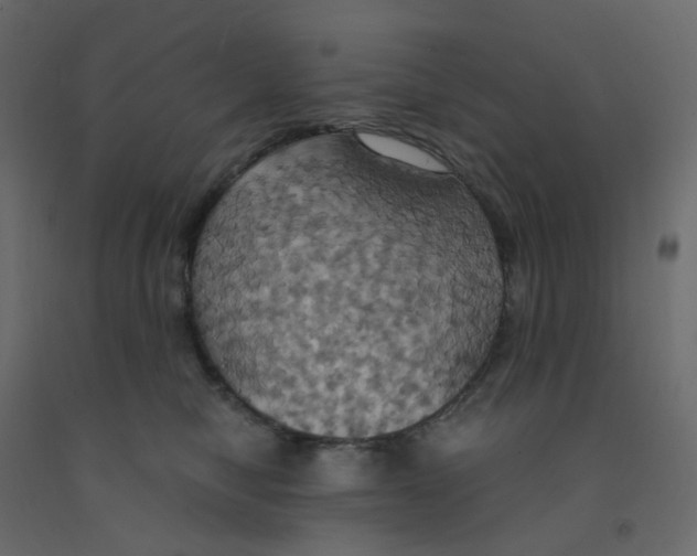 X0000092110470200710101147