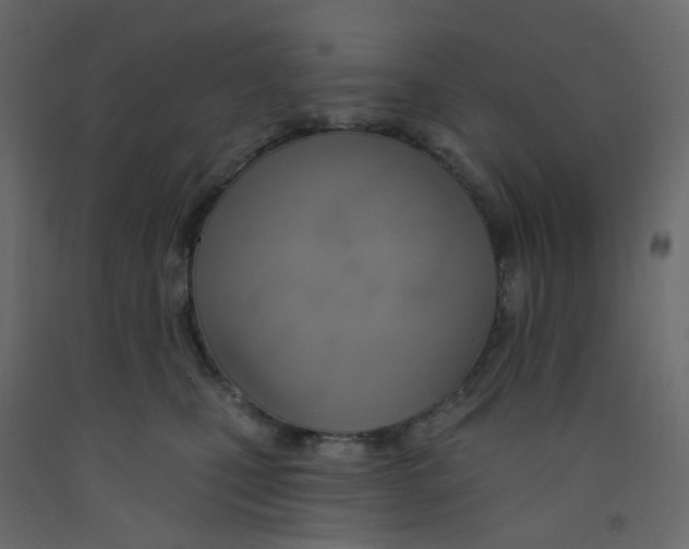X0000092110471200710101147