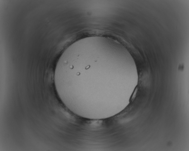 X0000092110474200710101147