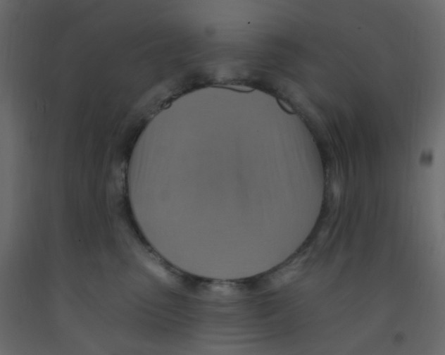 X0000092110475200710101147