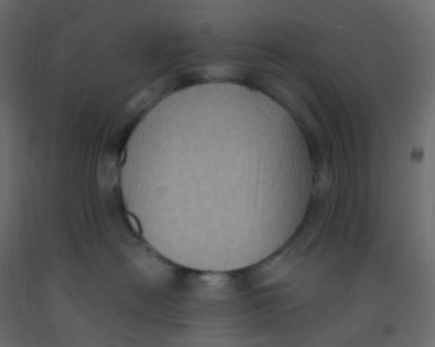 X0000092110478200710101147