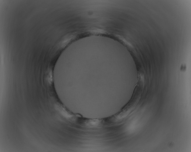 X0000092110479200710101147